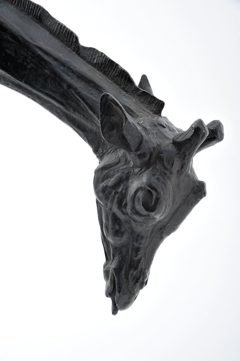Grande giraffa con testa abbassata, modellata 1909-10, fusa prima del 1913 da Rembrandt Bugatti