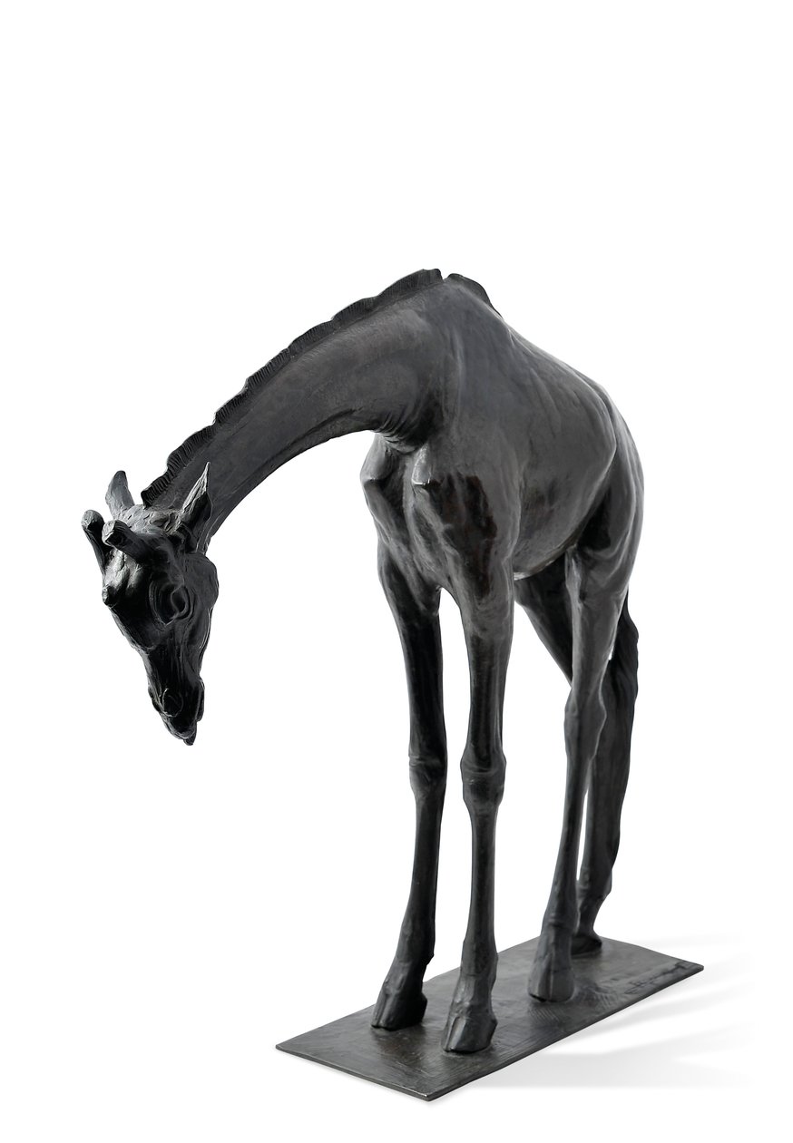 Grande giraffa con testa abbassata, modellata 1909-10, fusa prima del 1913 da Rembrandt Bugatti