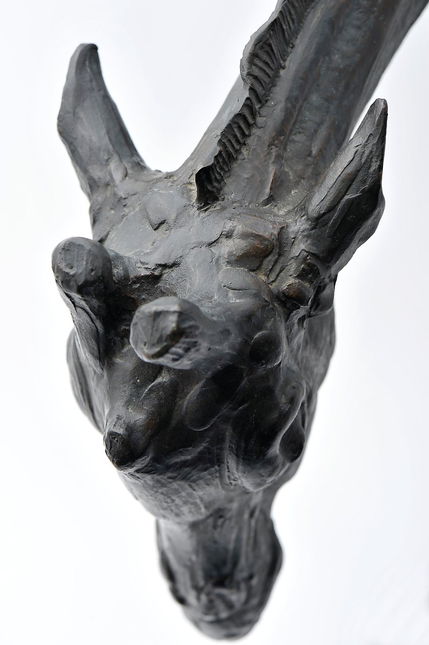 Grande giraffa con testa abbassata, modellata 1909-10, fusa prima del 1913 da Rembrandt Bugatti