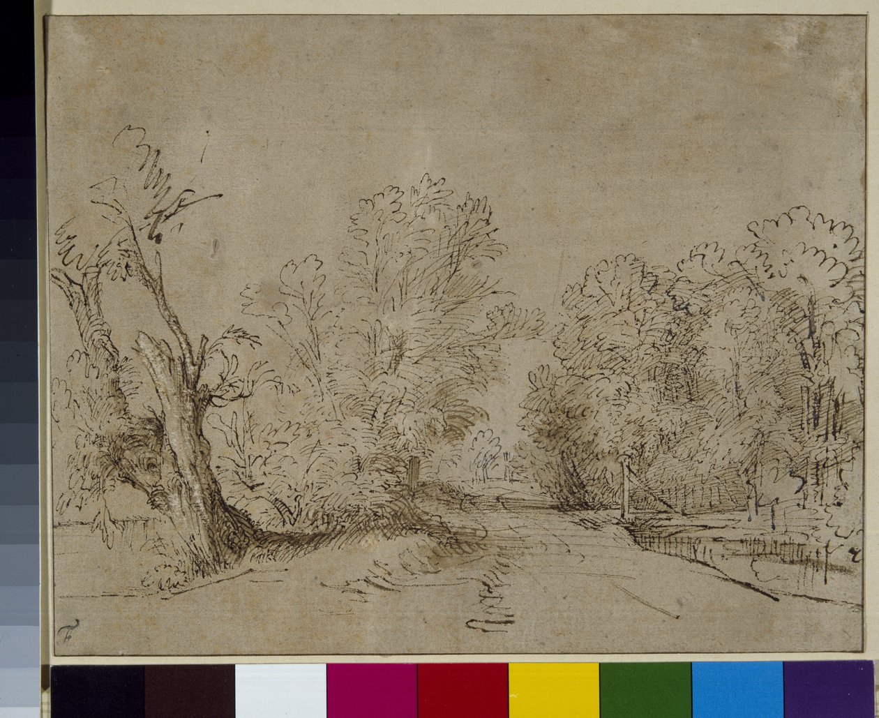 Una strada boschiva, c.1650 da Rembrandt Harmensz. van Rijn