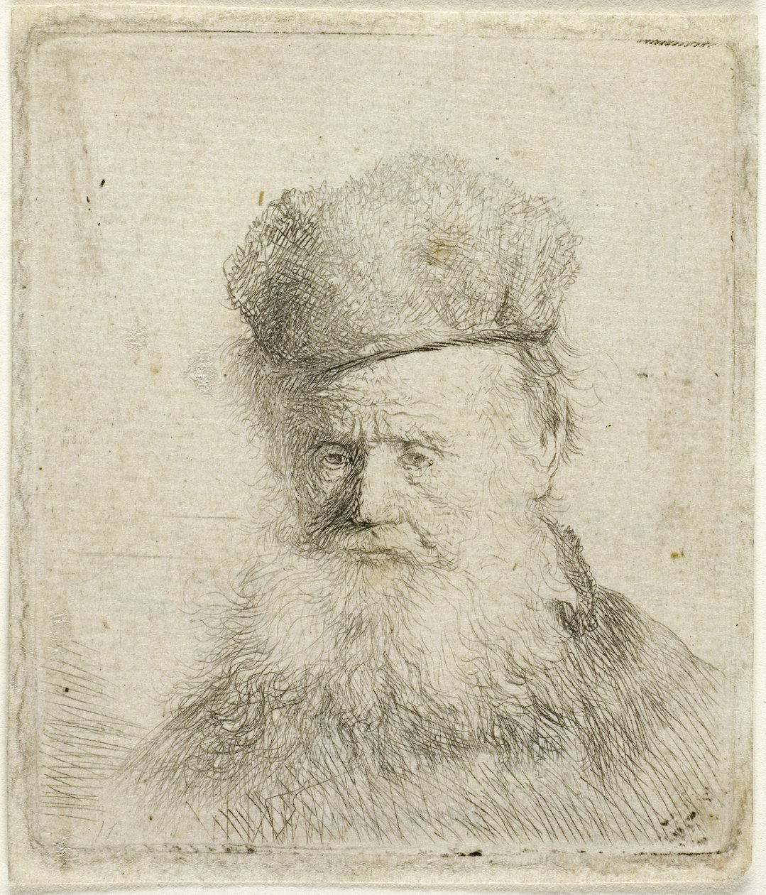 Busto di un Vecchio con Cappello di Pelliccia e Barba Fluente, c.1631 da Rembrandt Harmensz. van Rijn
