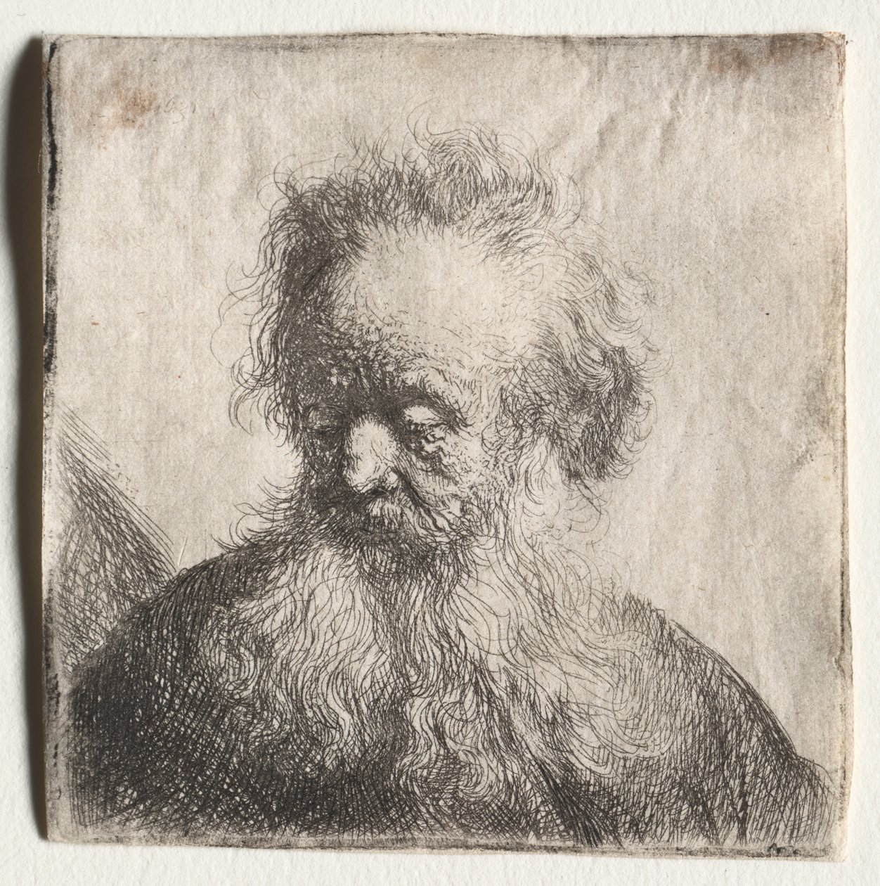 Vecchio con barba fluente: Busto da Rembrandt Harmensz. van Rijn