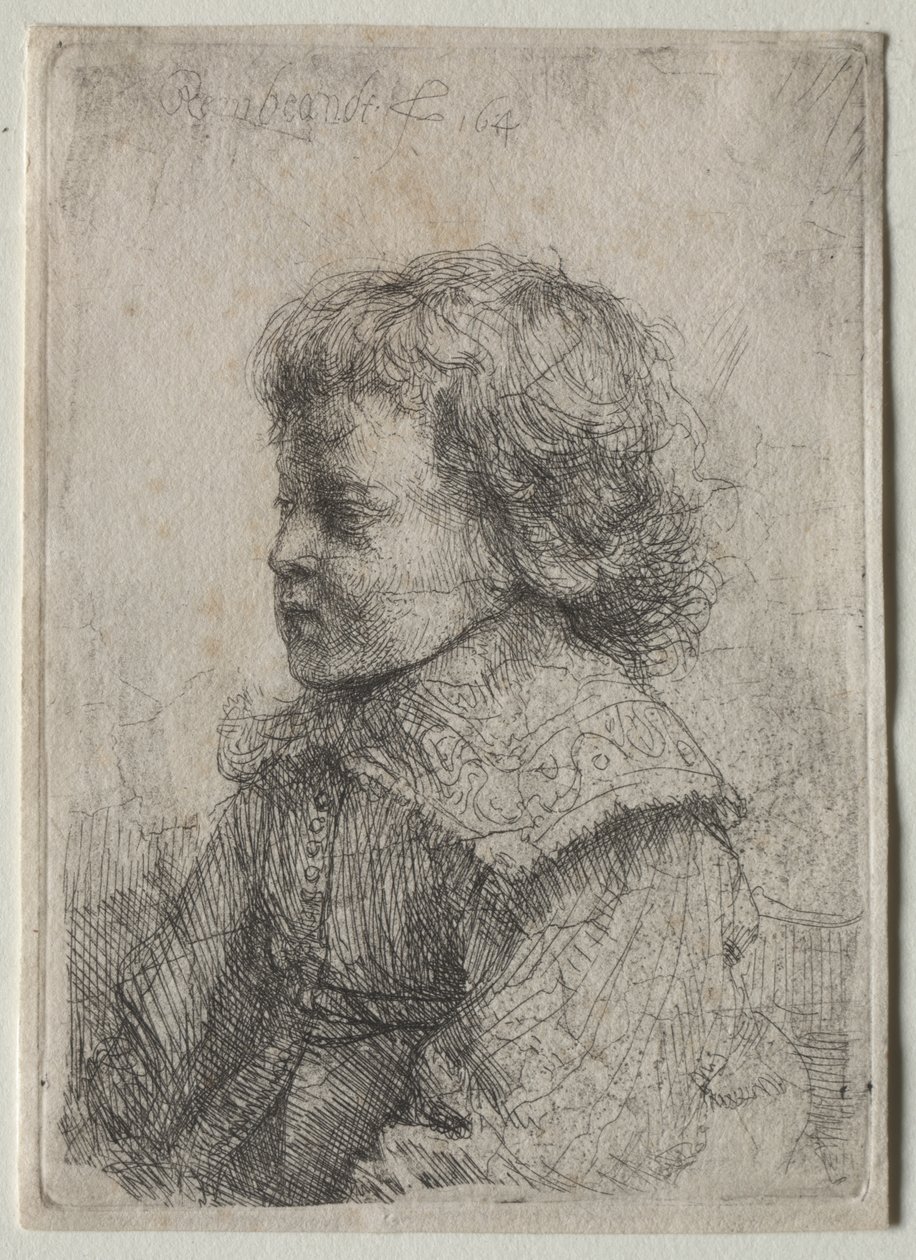 Ritratto di ragazzo di profilo da Rembrandt Harmensz. van Rijn