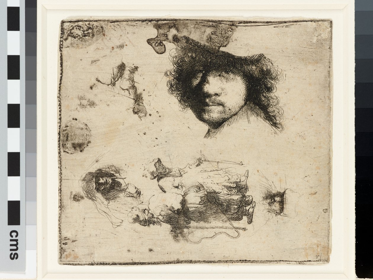 Foglio di studi da Rembrandt van Rijn