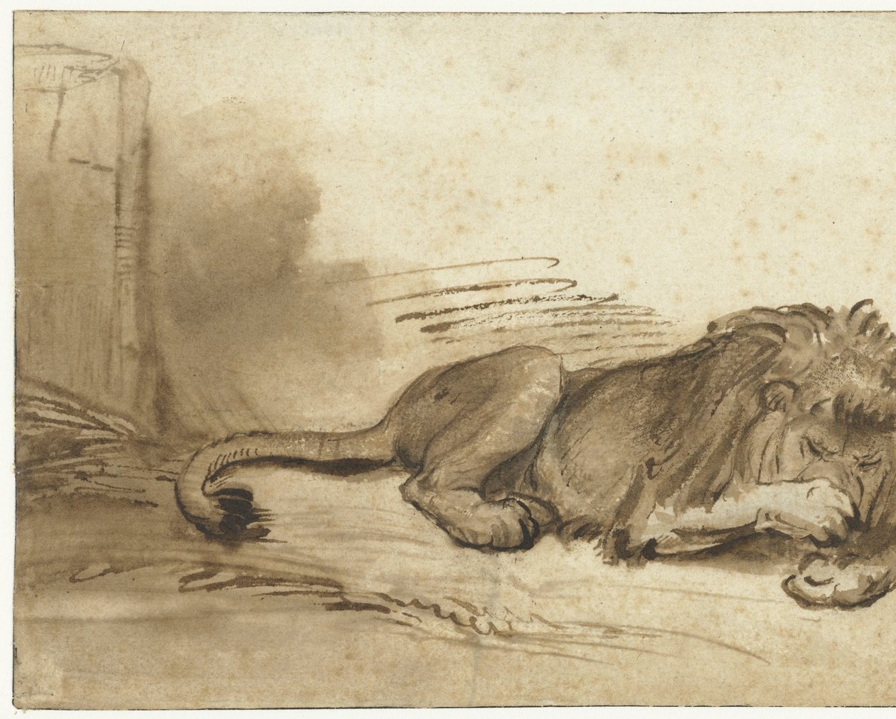 Leone sdraiato con la zampa anteriore sul muso da Rembrandt van Rijn (school of)