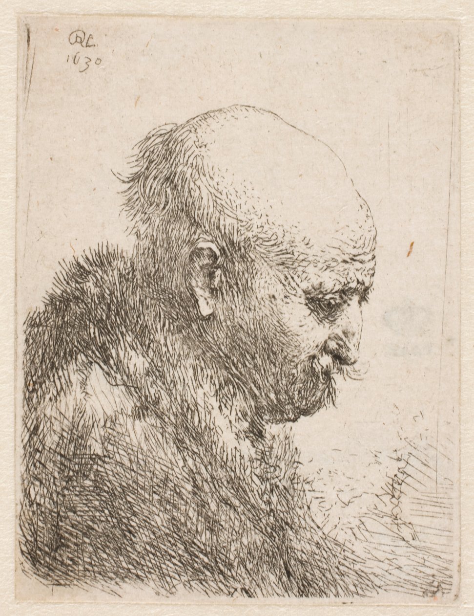 Uomo calvo (il padre di Rembrandt) di profilo a destra; piccolo busto da Rembrandt van Rijn
