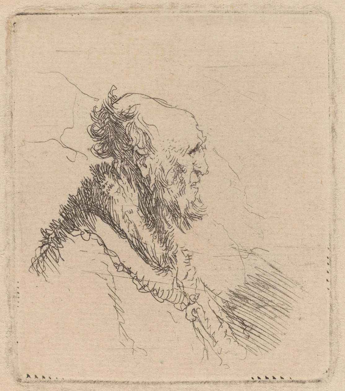 Vecchio calvo con barba corta di profilo da Rembrandt van Rijn