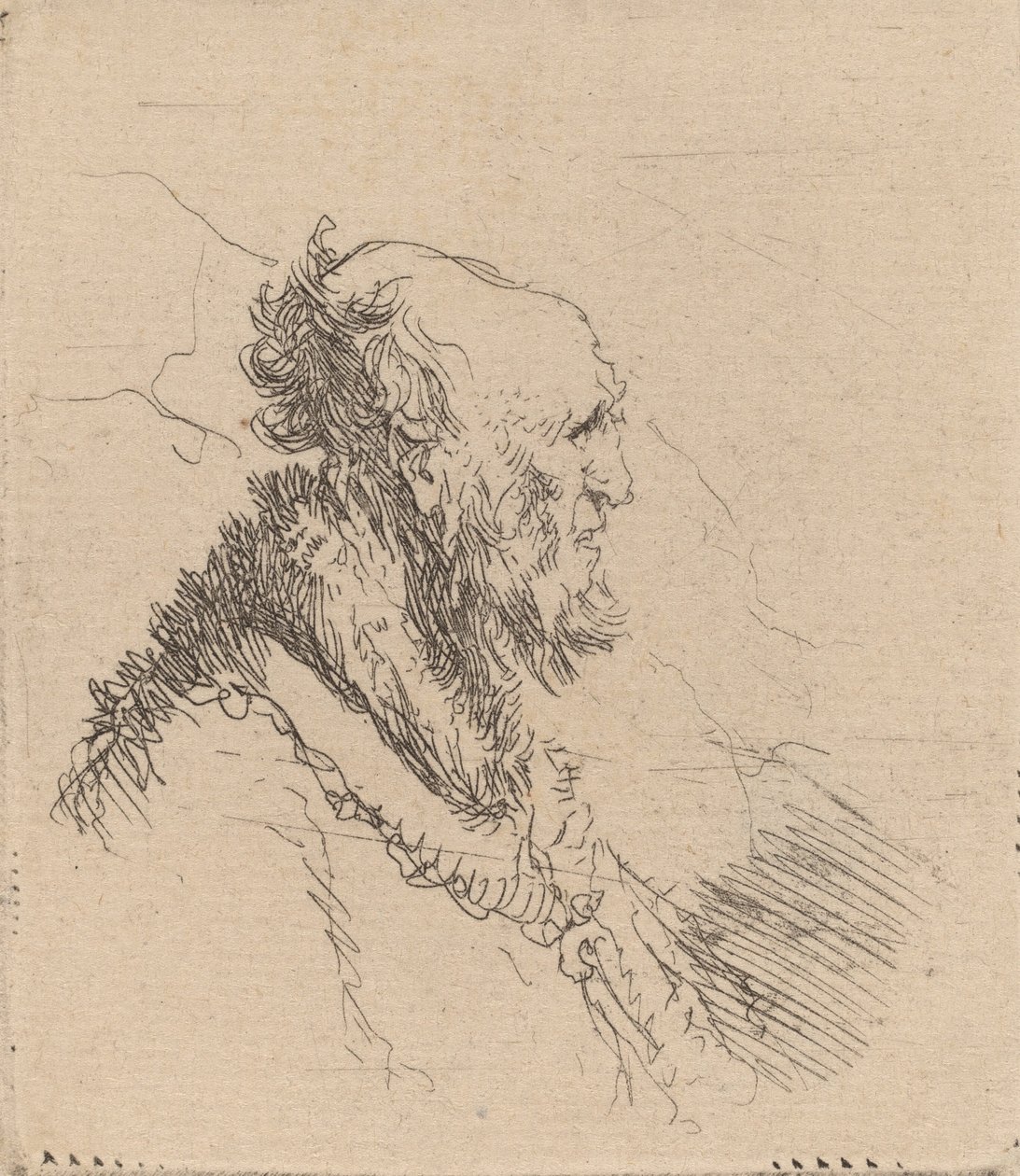 Vecchio calvo con barba corta di profilo da Rembrandt van Rijn