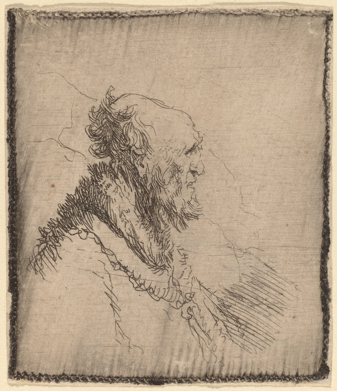 Vecchio Calvo con una Barba Corta di Profilo, c. 1635 da Rembrandt van Rijn