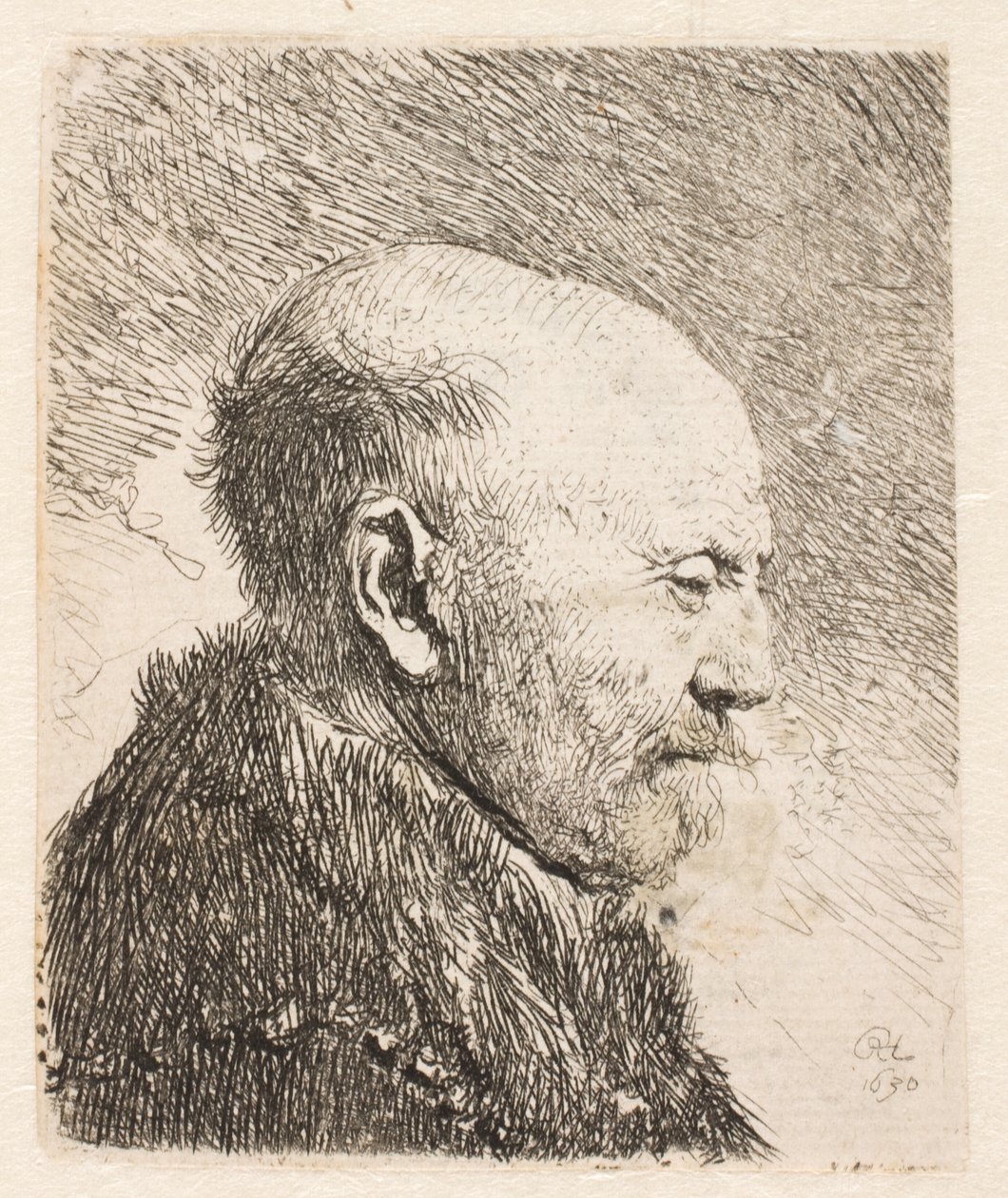 Uomo calvo di profilo (padre di Rembrandt?) da Rembrandt van Rijn
