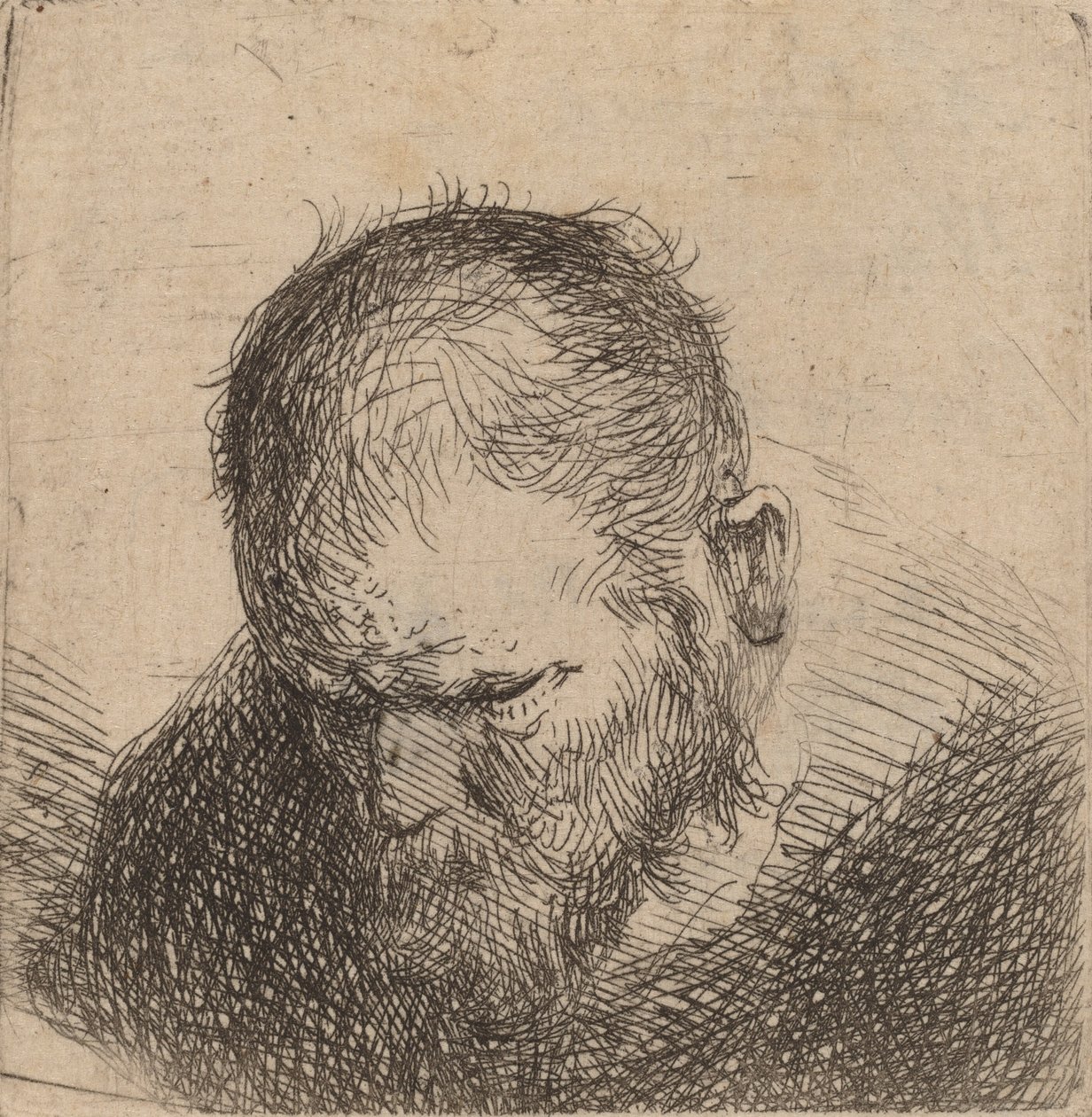 Uomo barbuto che guarda in basso, forse 1631 da Rembrandt van Rijn