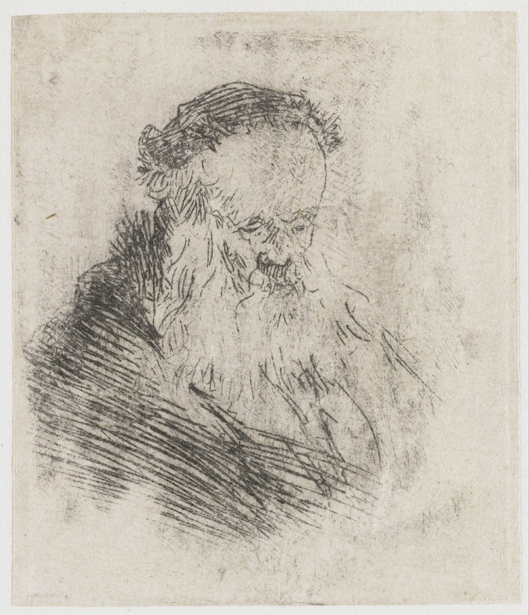 Anziano barbuto con la fronte alta da Rembrandt van Rijn
