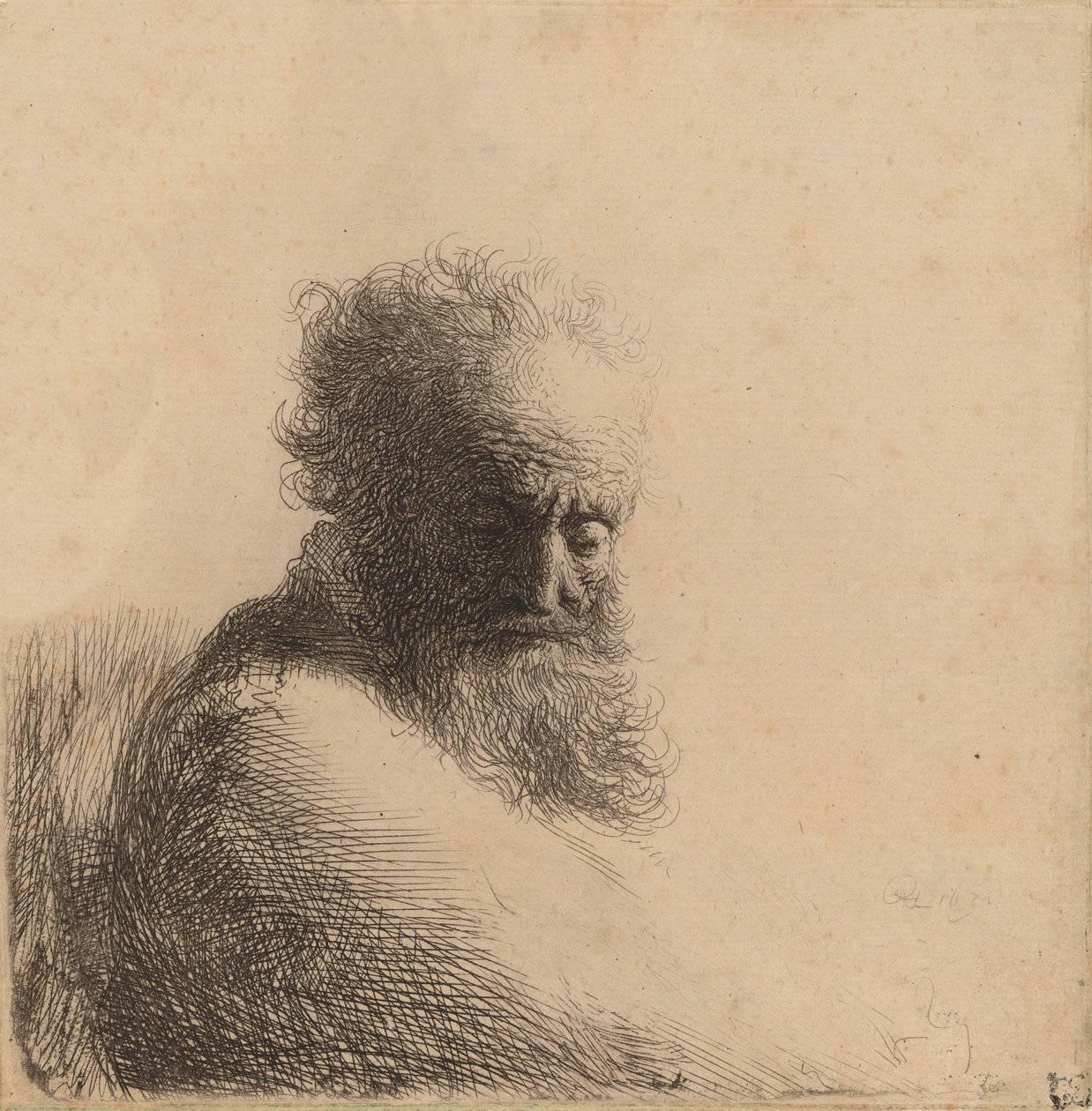 Busto di un vecchio barbuto, guardando in basso, tre quarti a destra da Rembrandt van Rijn