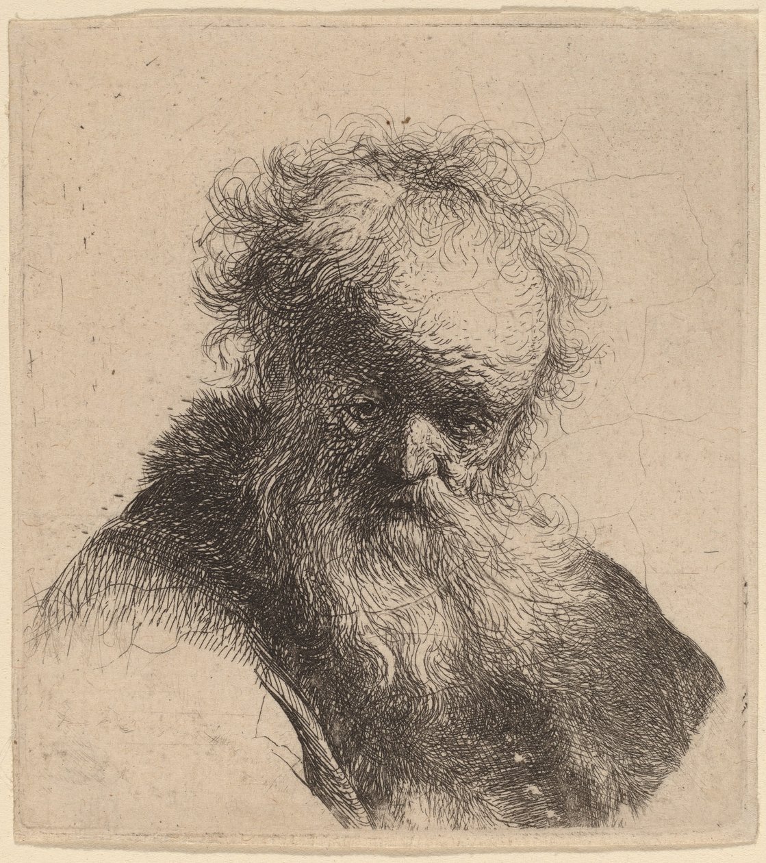 Busto di un vecchio con barba fluente e manica bianca da Rembrandt van Rijn
