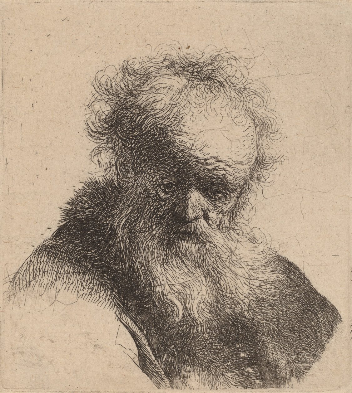 Busto di un vecchio con barba fluente e manica bianca, c. 1630 da Rembrandt van Rijn