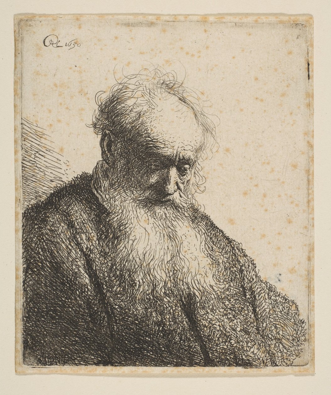 Busto di un vecchio con barba fluente: la testa inclinata tre quarti a destra da Rembrandt van Rijn