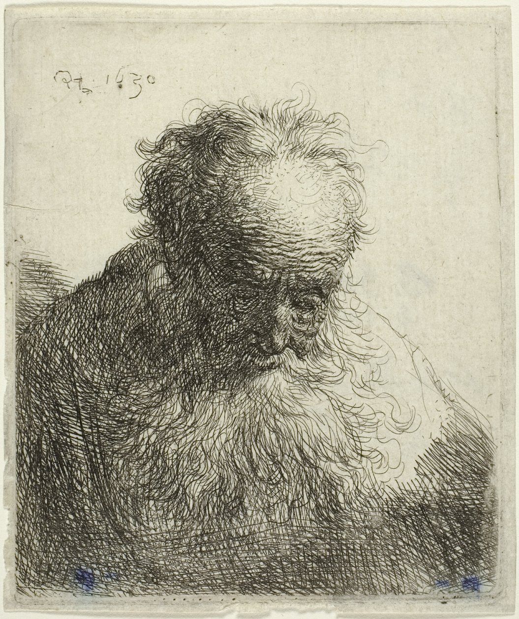 Busto di un vecchio con barba fluente: la testa inclinata in avanti: spalla sinistra non ombreggiata da Rembrandt van Rijn
