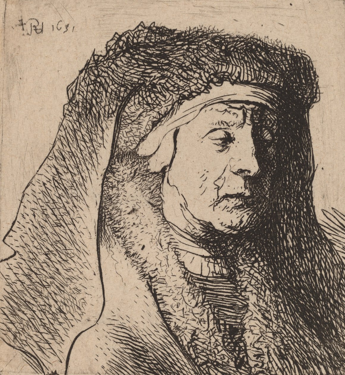 Busto di una vecchia donna con mantello di pelliccia e copricapo pesante da Rembrandt van Rijn