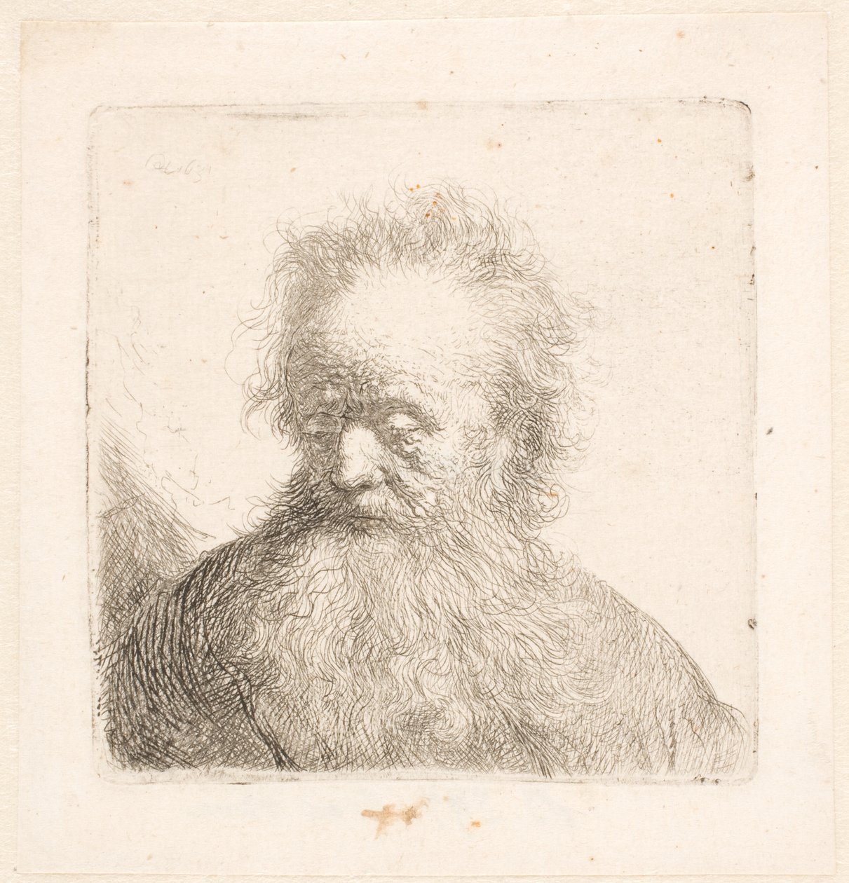 Busto di un anziano con barba fluente: testa quasi eretta; sguardo rivolto verso il basso; lo sguardo leggermente spostato a sinistra da Rembrandt van Rijn