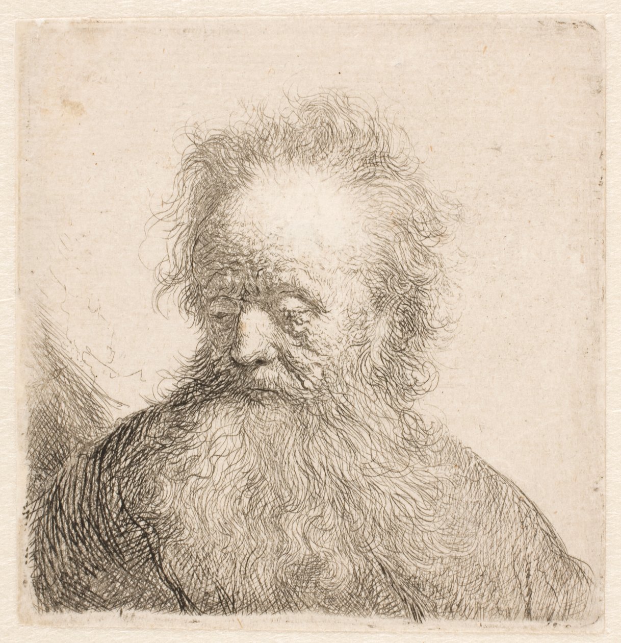 Busto di un anziano con barba fluente: testa quasi eretta; sguardo rivolto verso il basso; lo sguardo leggermente spostato a sinistra da Rembrandt van Rijn