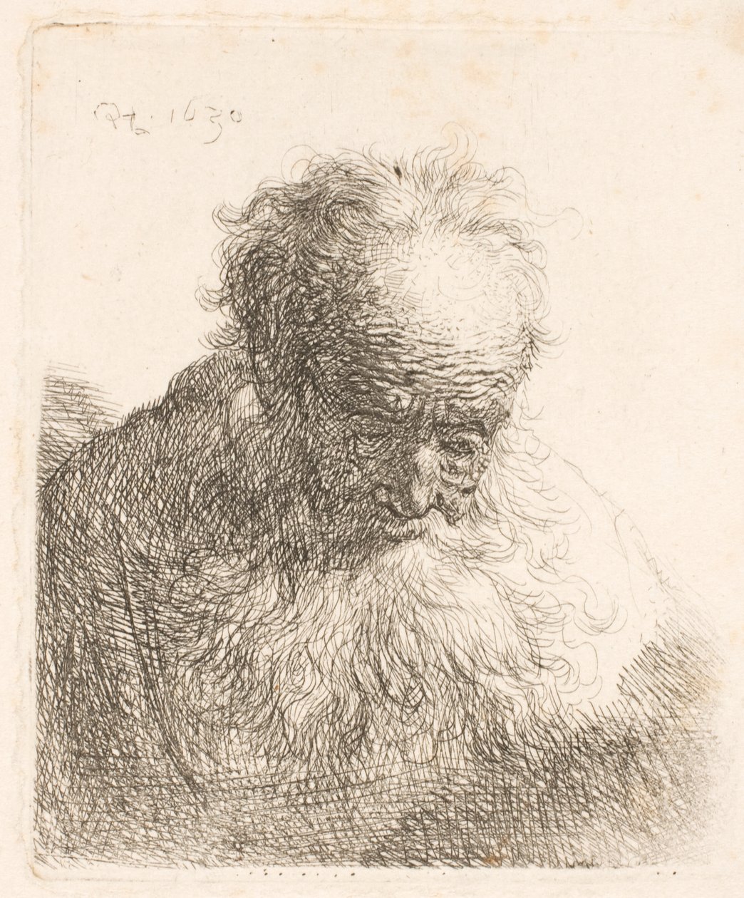 Busto di un anziano con la barba fluente: la testa china in avanti; spalla sinistra non ombreggiata da Rembrandt van Rijn