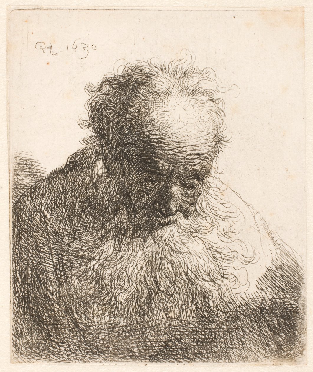 Busto di un anziano con la barba fluente: la testa china in avanti; spalla sinistra non ombreggiata da Rembrandt van Rijn