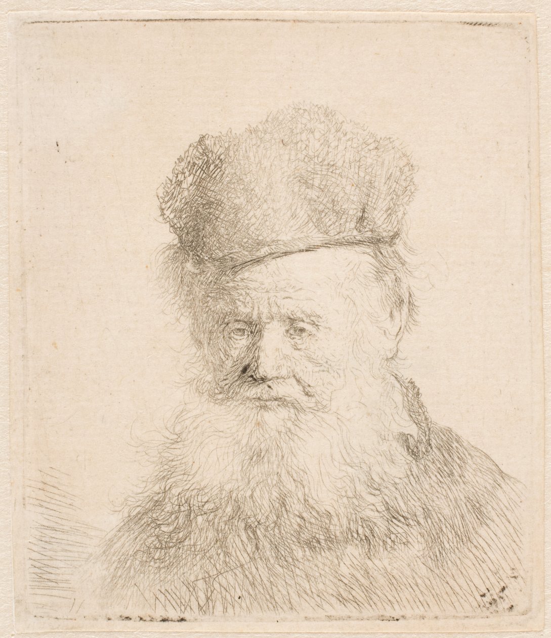 Busto di un anziano con berretto di pelliccia e barba fluente: quasi di profilo: sguardo diretto da Rembrandt van Rijn