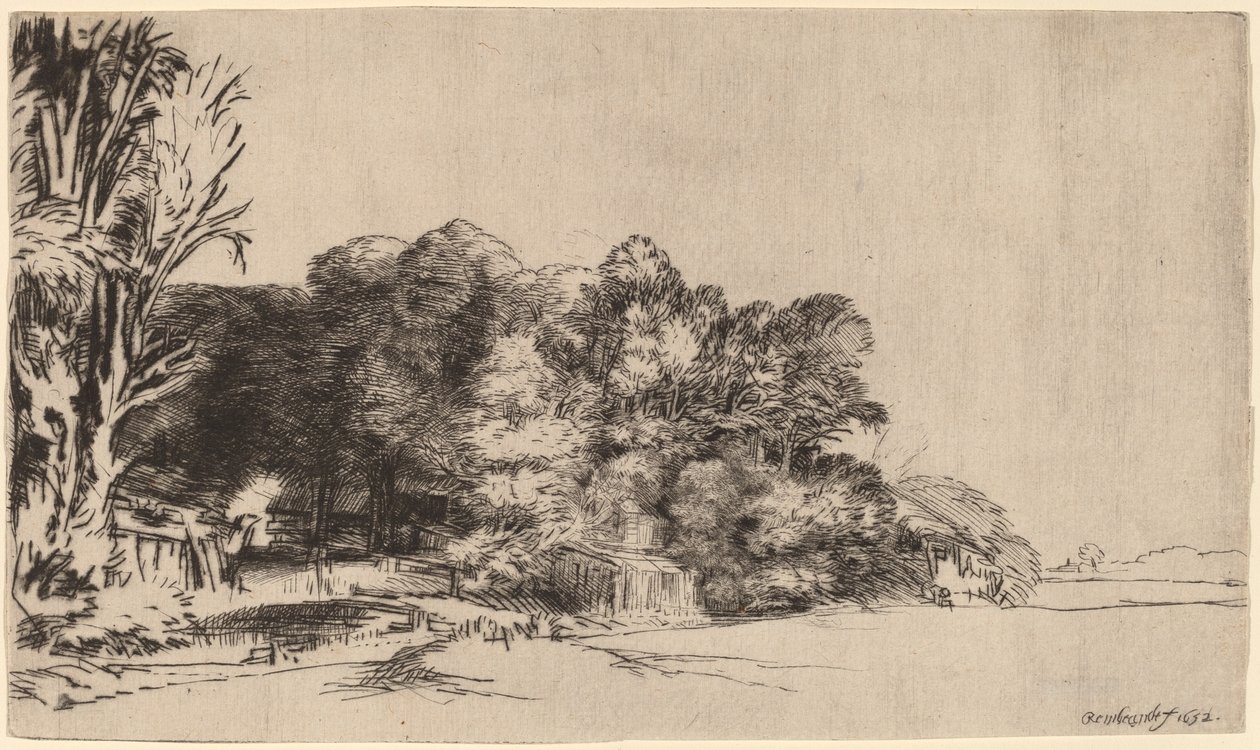Gruppo di alberi con una vista da Rembrandt van Rijn
