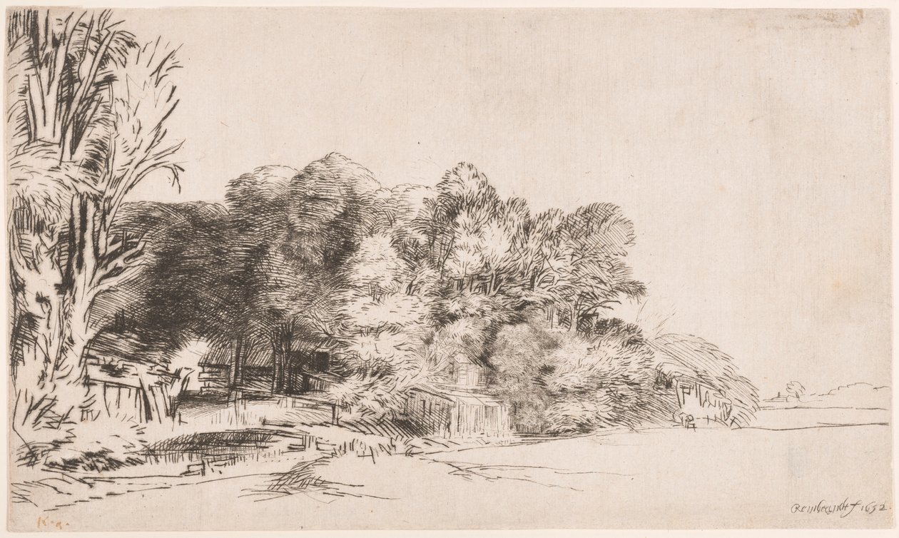 Gruppo di alberi con vista da Rembrandt van Rijn