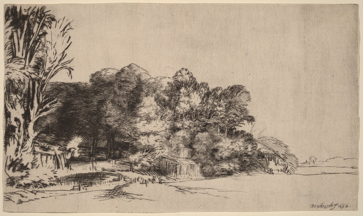 Gruppo di alberi con vista panoramica da Rembrandt van Rijn