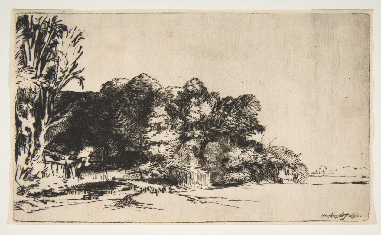 Gruppo di Alberi con Vista, 1652 da Rembrandt van Rijn