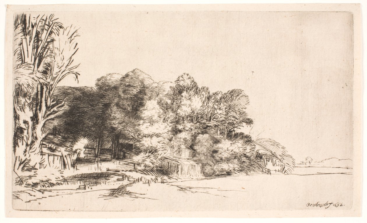 Gruppo di alberi con vista da Rembrandt van Rijn
