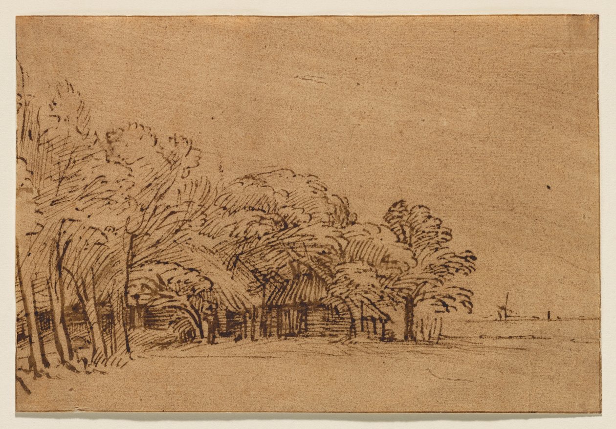 Fattoria sotto gli alberi da Rembrandt van Rijn
