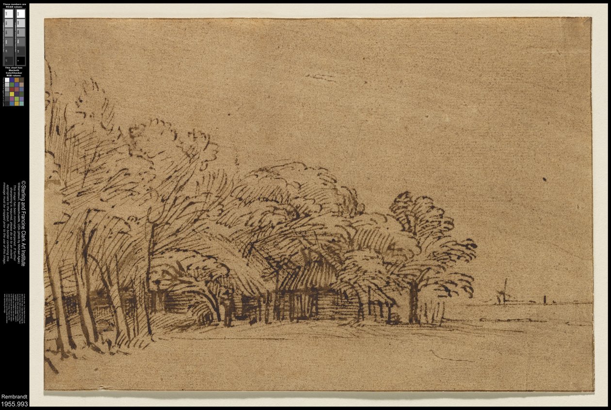 Fattoria sotto gli alberi da Rembrandt van Rijn