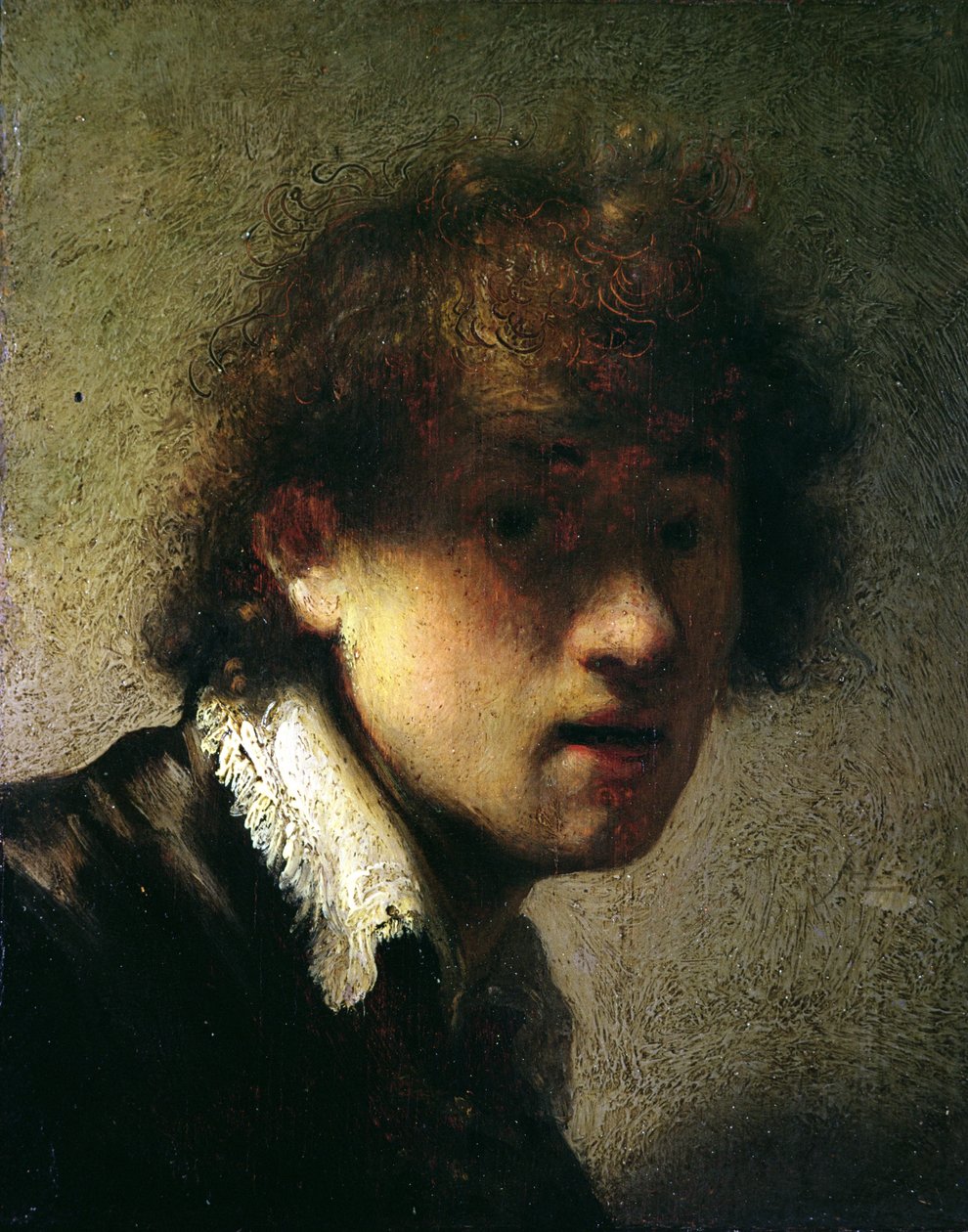Testa di un giovane o autoritratto, 1629 da Rembrandt van Rijn