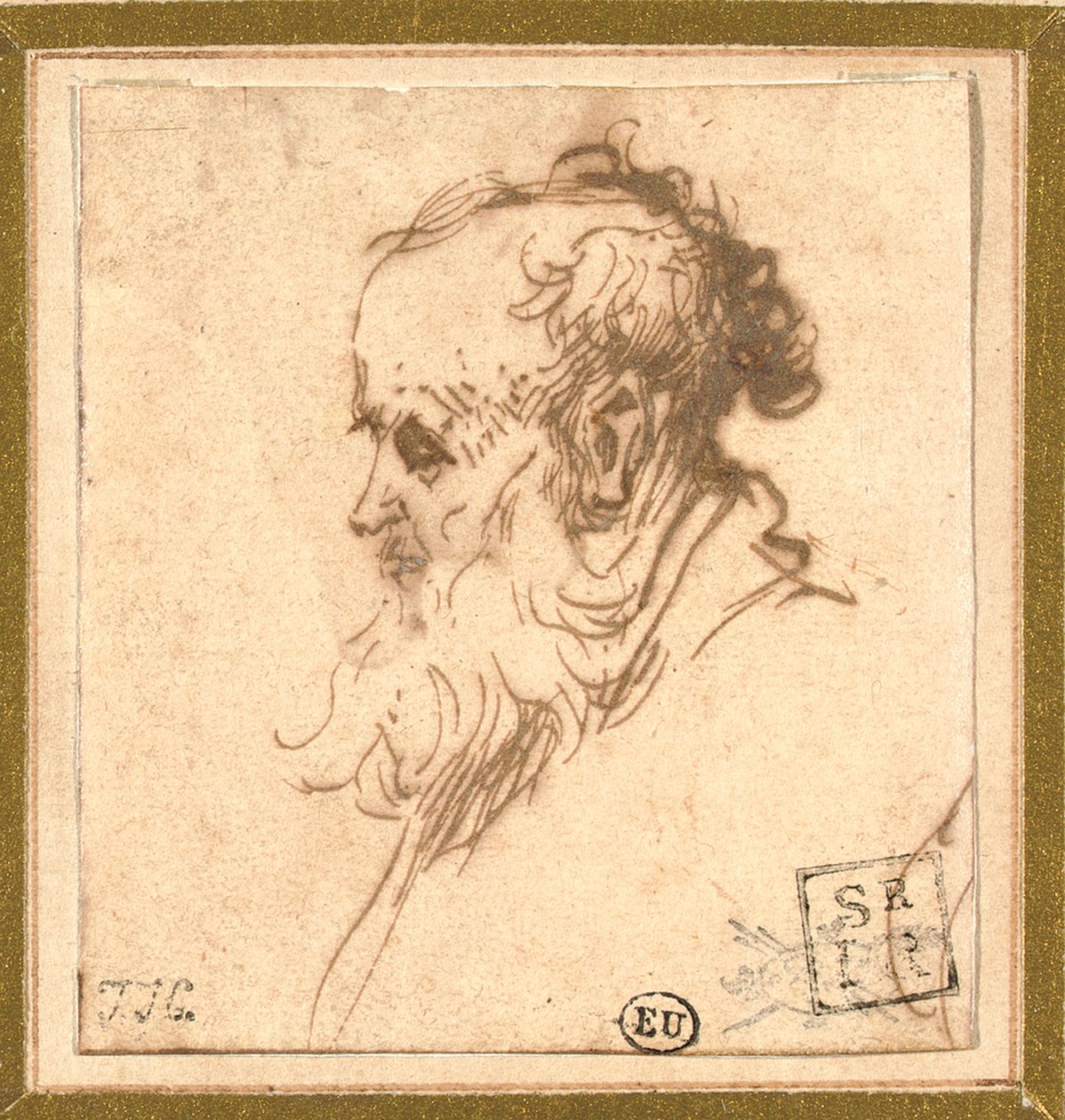 Testa di un uomo barbuto di profilo a sinistra da Rembrandt van Rijn
