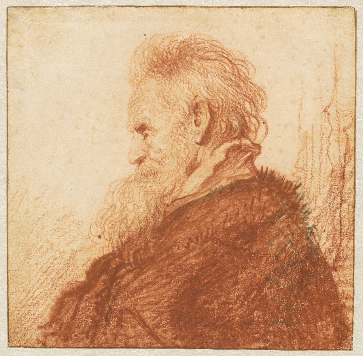 Testa di un vecchio (recto) da Rembrandt van Rijn