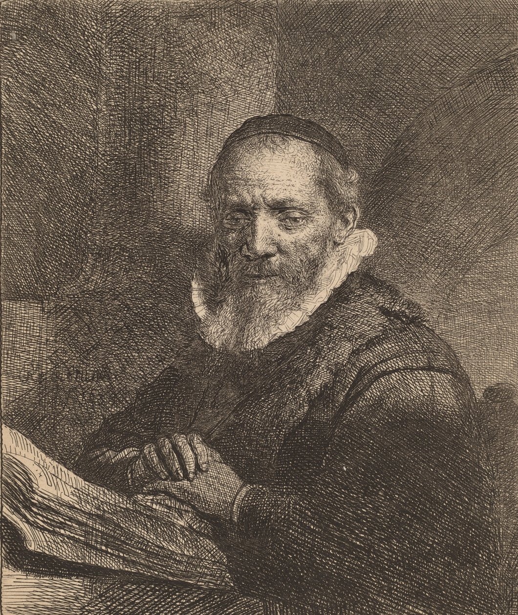 Jan Cornelisz. Sylvius da Rembrandt van Rijn