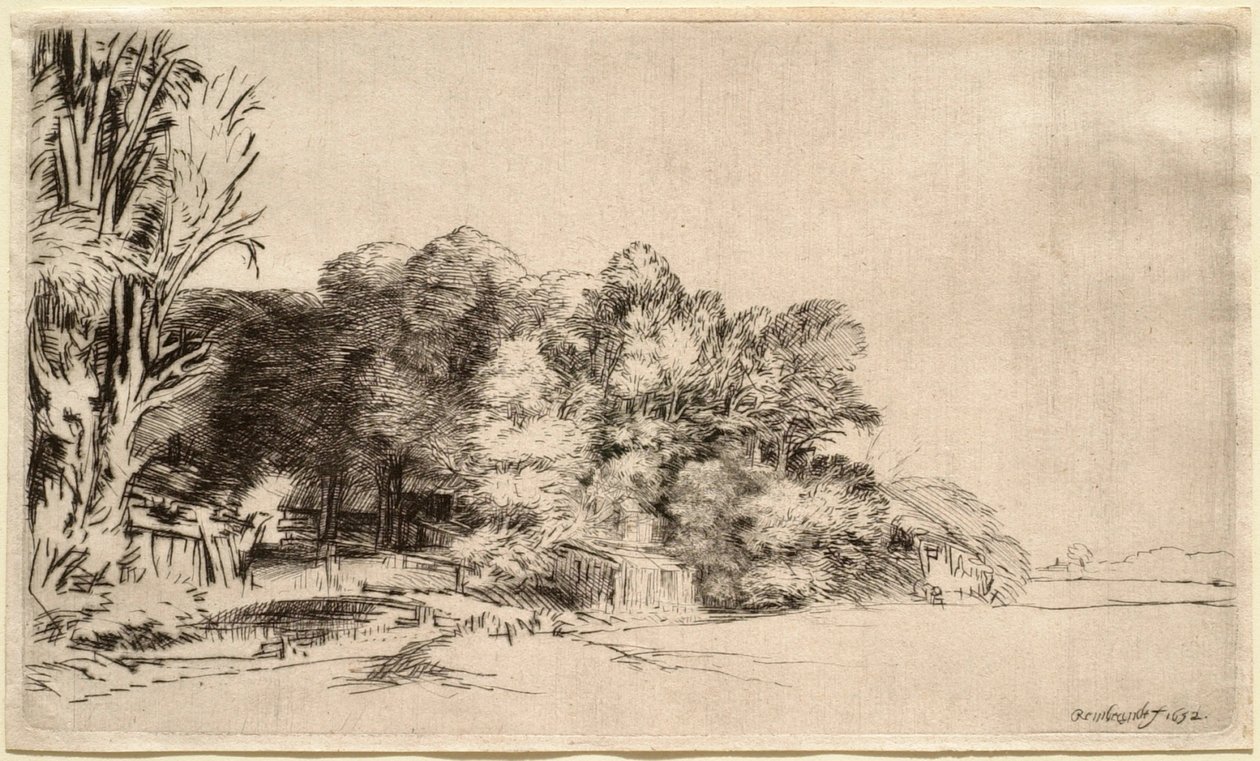 Paesaggio con un gruppo di alberi da Rembrandt van Rijn