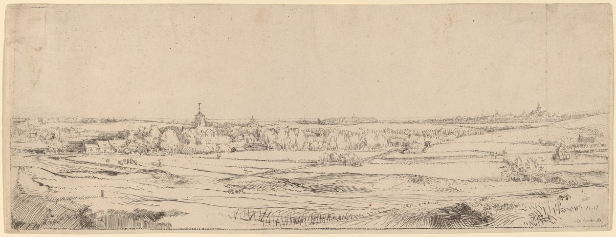 Paesaggio con vista verso Haarlem (Il campo del pesatore d