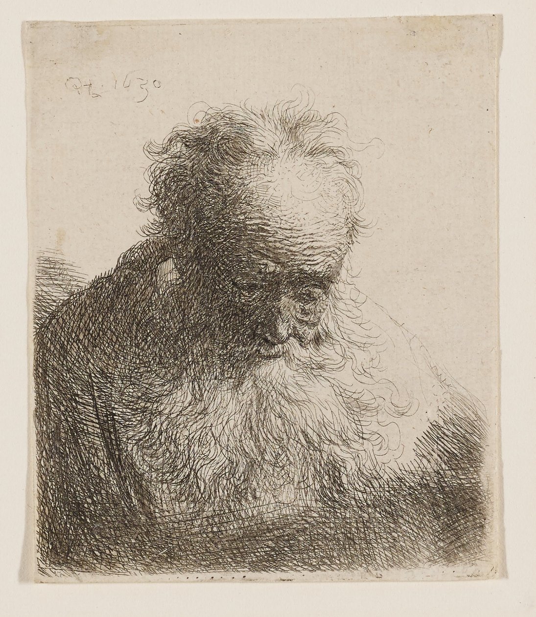 Anziano con barba fluente (testa china in avanti, spalla sinistra non ombreggiata) da Rembrandt van Rijn