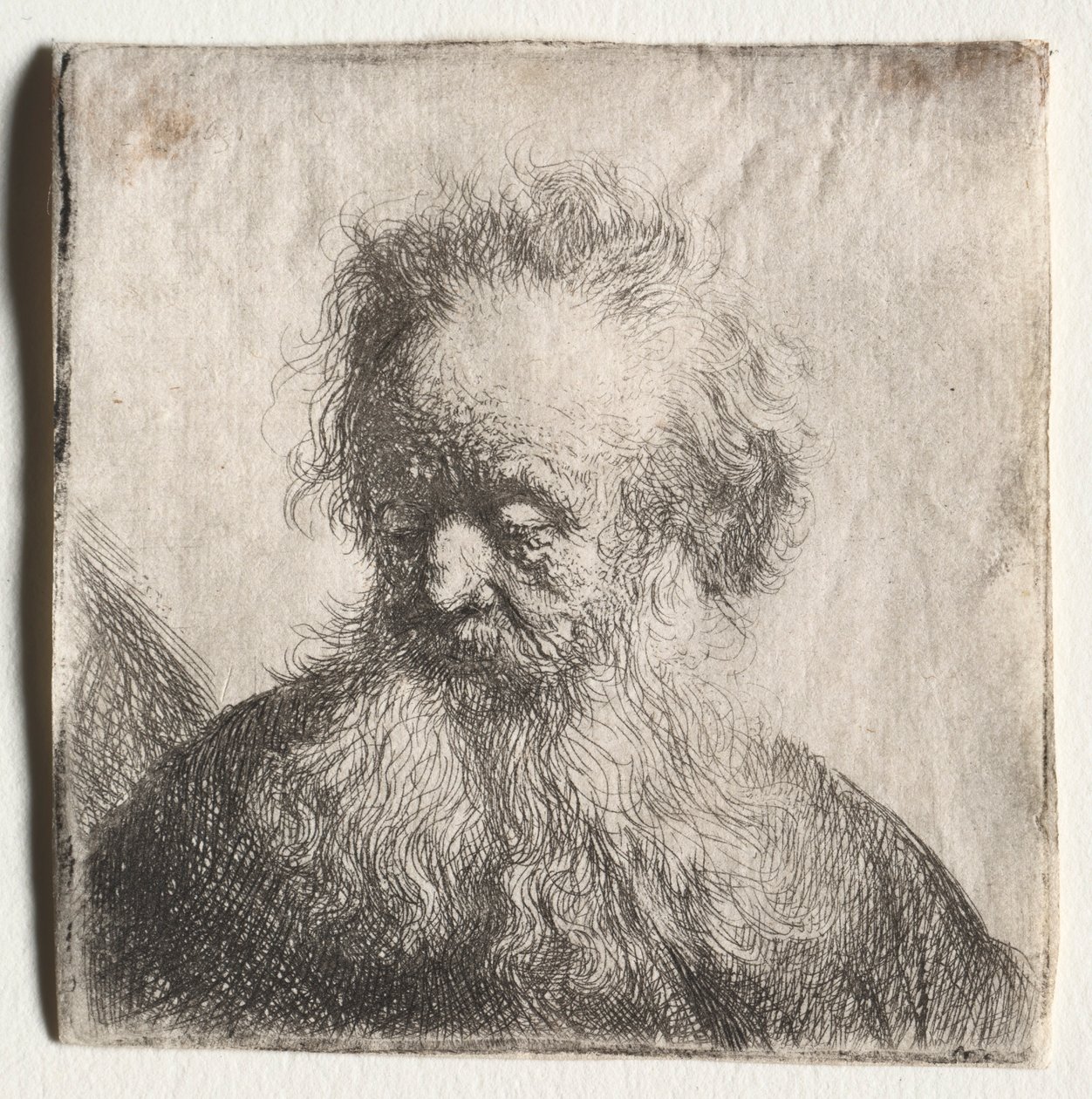 Vecchio con barba fluente: Busto, 1631 da Rembrandt van Rijn