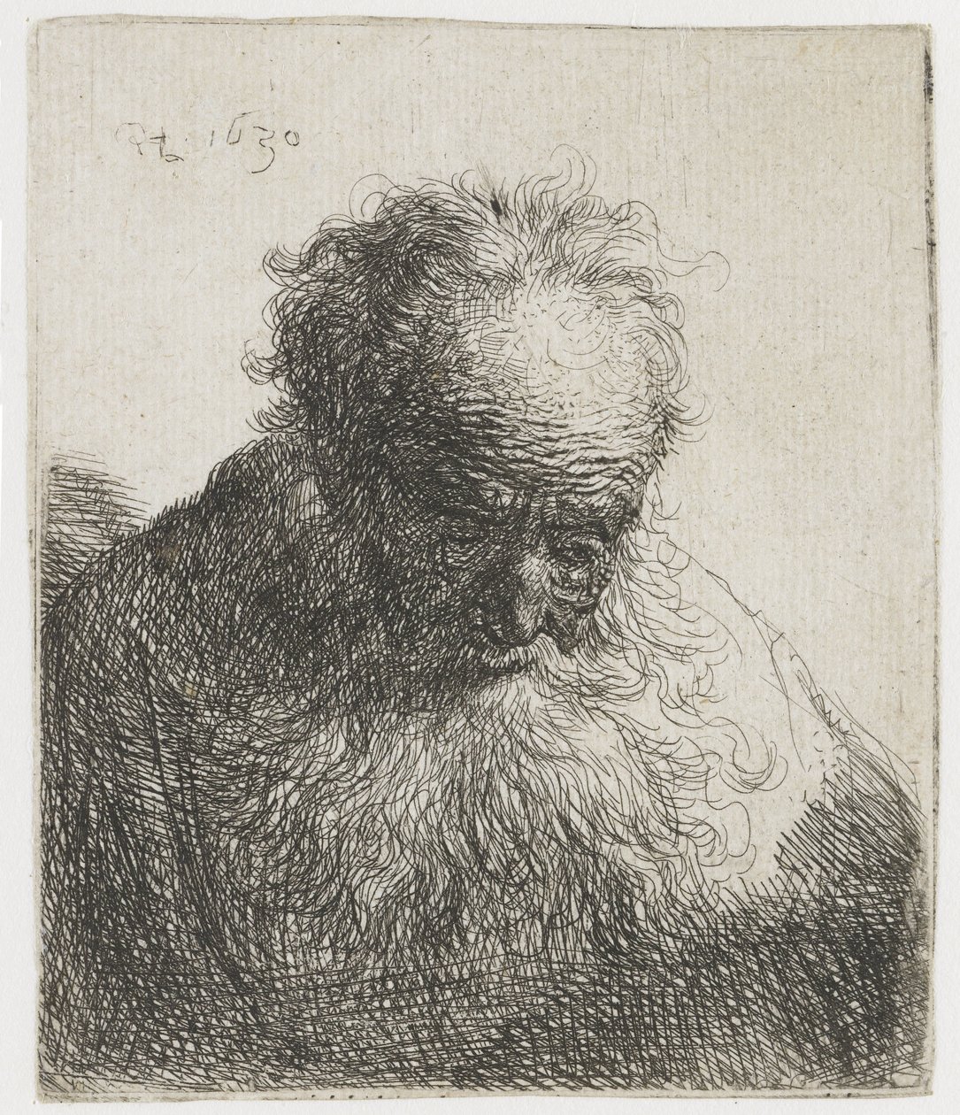 Vecchio con barba fluente, spalla sinistra non ombreggiata da Rembrandt van Rijn