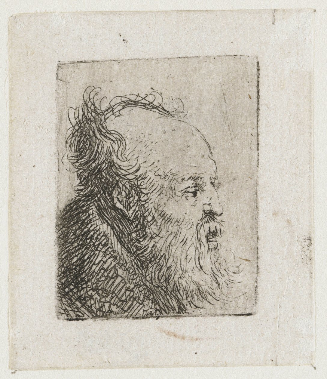 Un anziano barbuto, con la bocca semiaperta da Rembrandt van Rijn