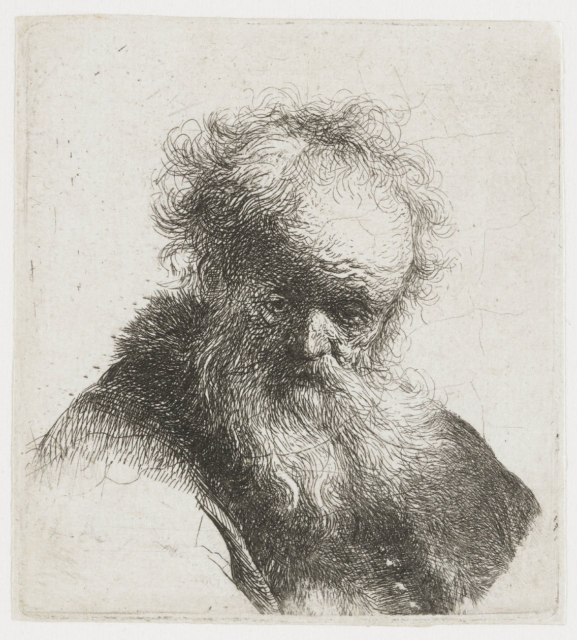 Anziano con una lunga barba e una manica bianca da Rembrandt van Rijn