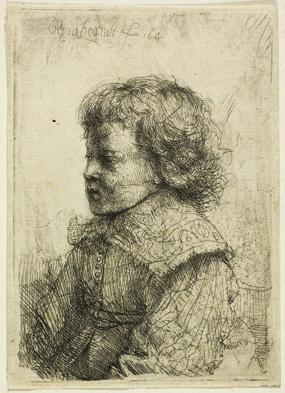 Ritratto di un ragazzo da Rembrandt van Rijn
