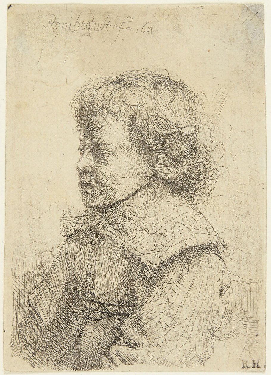 Ritratto di un ragazzo da Rembrandt van Rijn