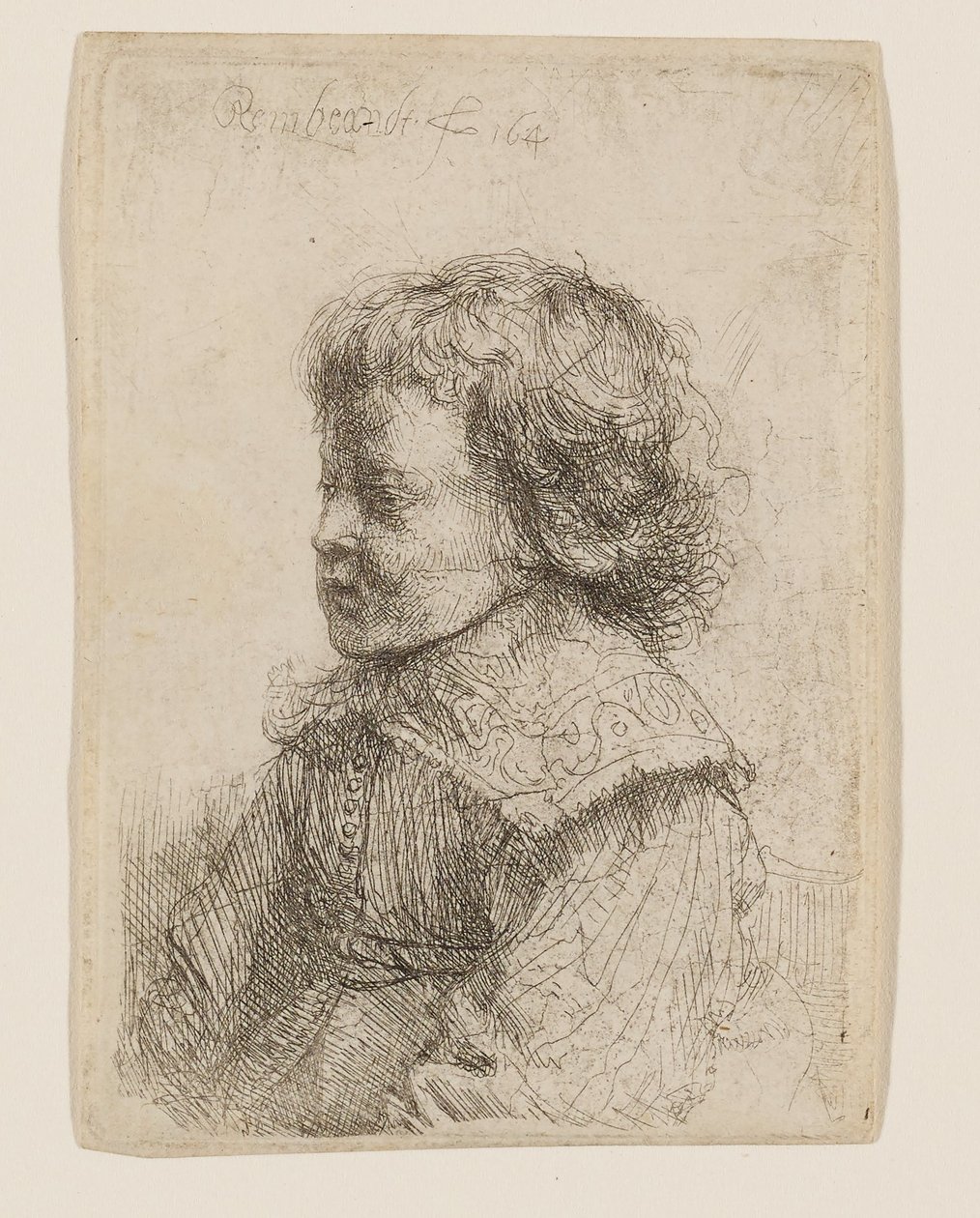 Ritratto di un ragazzo di profilo da Rembrandt van Rijn