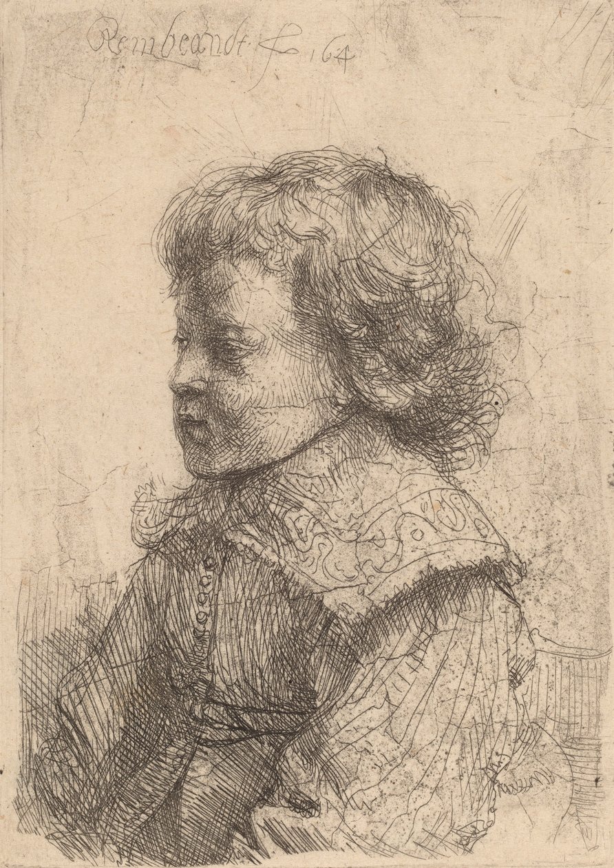 Ritratto di un ragazzo di profilo da Rembrandt van Rijn