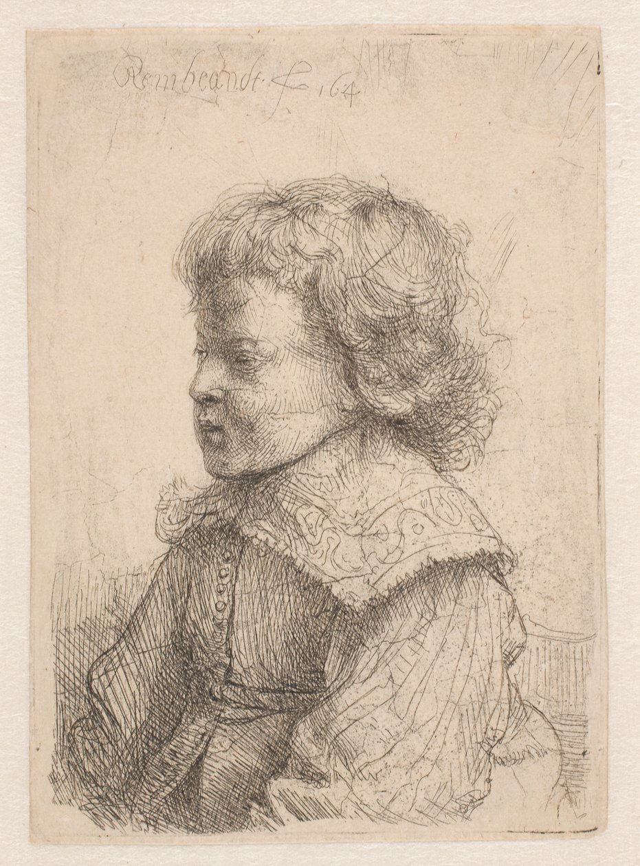 Ritratto di un ragazzo, di profilo da Rembrandt van Rijn